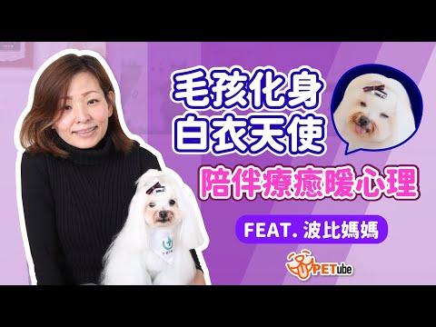 毛孩化身白衣天使 陪伴療癒暖心理 FEAT. 波比媽媽 【封面故事】｜#哈寵PETube 第224集