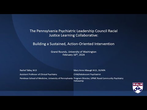 The Pennsylvania Psychiatric Leadership Council Racial Justice Learning Collaborative