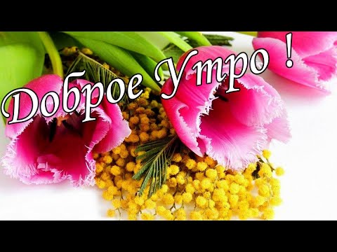 С ДОБРЫМ УТРОМ !🌼Желаю Самого Доброго Солнечного Утра!🌼  Шикарная Музыкальная открытка 🌼