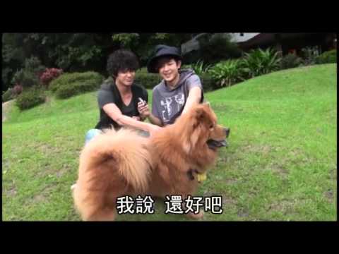 寵物情緣 敖犬 威廉 LOLLY 蘋果日報報導