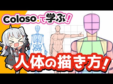 [Subtitle] How to draw the human body | Lecture on Coloso