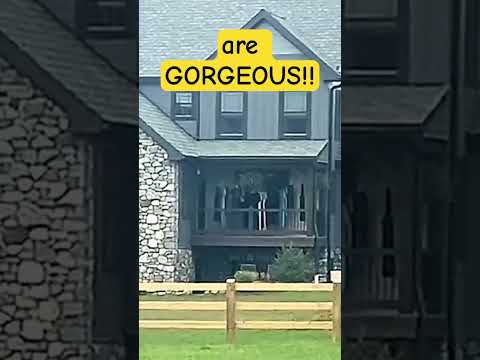 What Amish homes REALLY look like #shorts #amish #amishcountry #lancasterpa