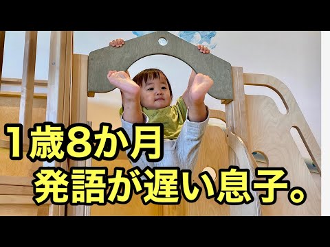 【喋らない】１歳８か月だけどほぼ喋る気のない次男【宇宙語】