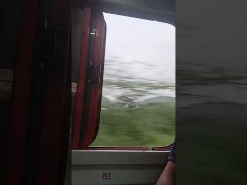 Train journey - view of outside of window