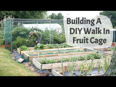 How To Build A DIY Walk In Fruit Cage