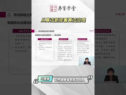 国家算法治理的法律框架 - PKU 北大人