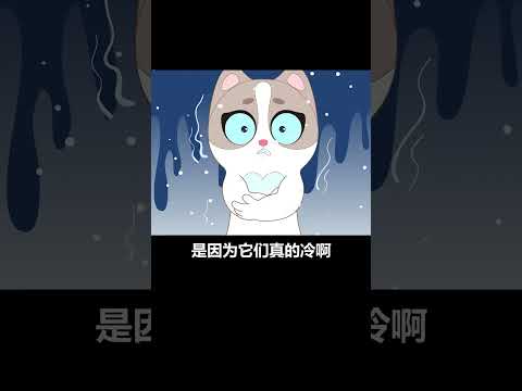 【宠物科普】你知道猫咪喜欢揣手的原因吗？