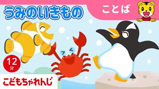 【12分歌まとめ】いくつ知ってるかな？うみのいきもの の うた |  子ども向け童謡詰め合わせ | 童謡 | しまじろうチャンネル公式