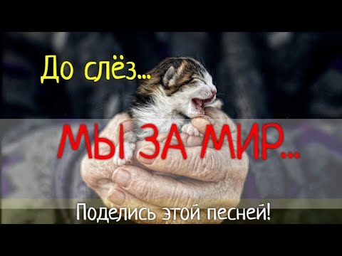 МЫ ЗА МИР! Очень сильная песня!!!