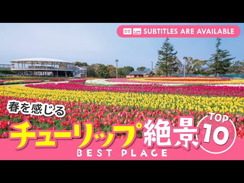 Top 10 Tulip Best Sceneries in Japan