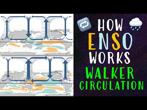 How ENSO Works: Walker Circulation