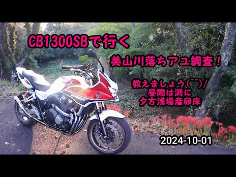 2024-10-01 CB1300SBで行く美山川落ちアユ調査！