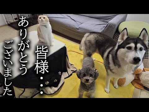 皆様ありがとうございました最後の動画になります...