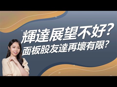 輝達展望終究不夠好?  面板股友達再壞有限?  ｜豐學PRIME盤後精選整理  2024.11.21