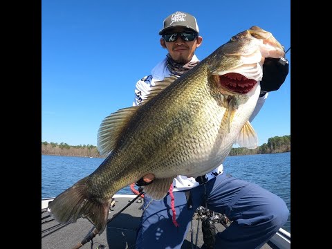 :[D] Super Monster@Toledo Bend!