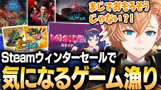 Steamウィンターセールを眺め次々と一押しのやりたいゲームが増える渋ハル【渋谷ハル】