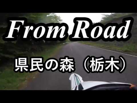 From Road 県民の森（栃木）栃木県矢板市長井 セロー　バイク　ツーリング　車載動画