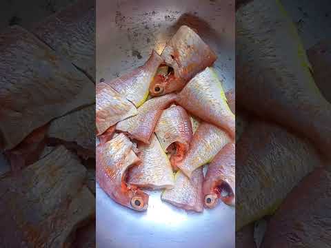 இன்னைக்கு என்ன மீன் வாங்கி இருக்கோம் பாக்கலாமா, fresh அ சங்கரா மீன்,  #fish #trending #ஷார்ட்ஸ்