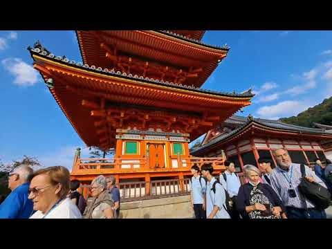 A trip to Kyoto, near Kiyomizu｜日本旅行京都清水寺附近，實錄，真的好美啊