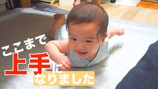 【生後６ヶ月】ズリバイ20日間チャレンジ！上達のたつ！