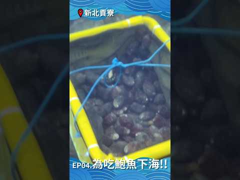 太想吃鮑魚，下海自己撈！