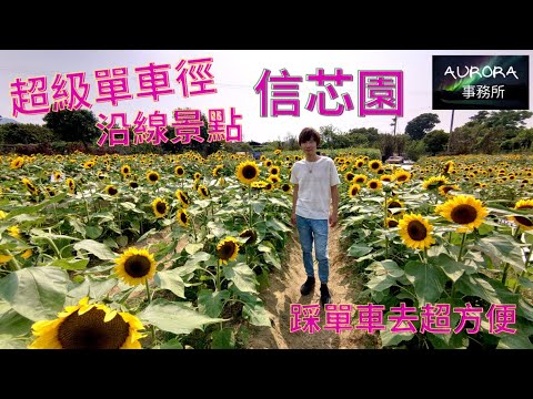 【踩單車周圍去#12】 信芯園 向日葵花海  夏之傲雪 太陽花 單車遊 香港好去處 DAHON K3 / 4K 廣東話 中文字幕 ~《AURORA 事務所》~