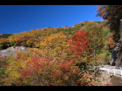 国道309号沿線の紅葉スライドショー 2024.11.13