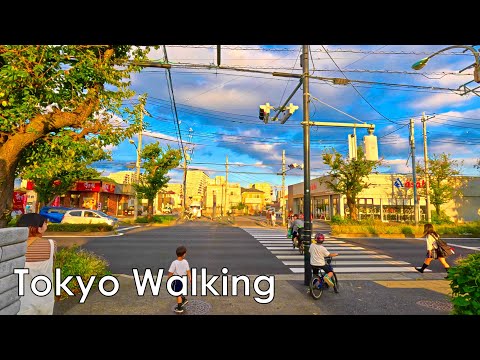 Tokyo, Japan, Autumn walk in Fuchu, Tokyo 4K