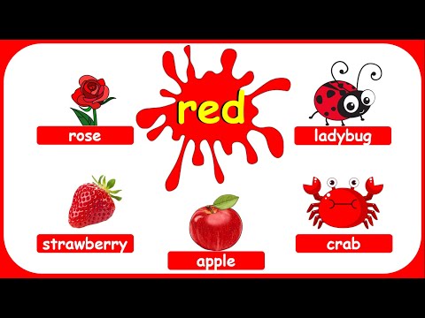 DIFFERENT COLORS ll Basic Colors ll KIDS ll Teacher Ana Online Learning