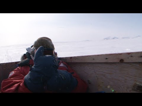 Snowmobile route to Revoir Pass - Sam Ford Fiord 2010 expedition