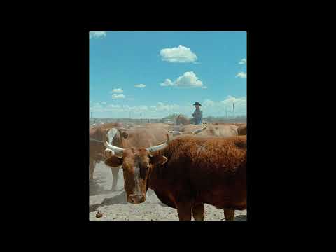 Country Rap Type Beat - "Honestly" | Free Morgan Wallen x Diplo x Gunna Type Beat 2023