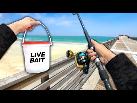 PIER Fishing w/ WEIRD BAIT for Whatever Bites