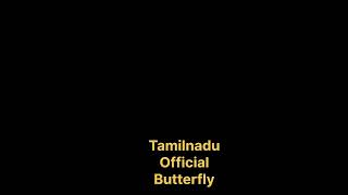 Tamilnadu State Official Butterfly.#malayalam #shorts #facts #education #malayalamnews #asianetnews