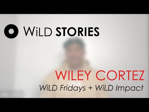 WiLD Fridays + WiLD Impact - Wiley's WiLD Story