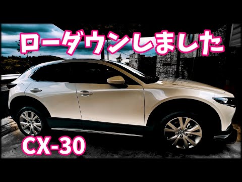 Mazda CX-30 ｛2センチの世界 ｝予告