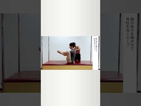 ＼本気の人のためのピラティス／体幹を鍛えたい！オススメエクササイズ#pilates