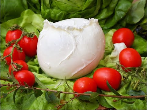 How to make mozzarella cheese🧀