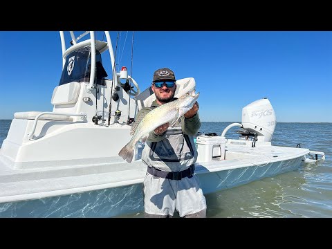 This Bait Catches MORE TROUT {Catch Clean Cook} Texas Coast Wade Fishing