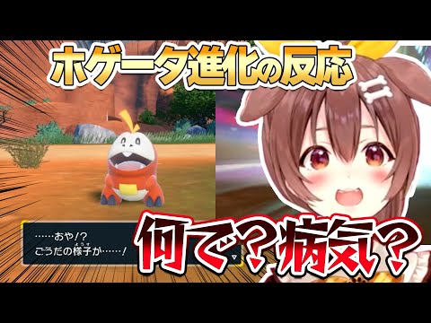 「ホゲータ進化」ポケモンをほぼ全く知らないころねの新鮮な反応【ホロライブ/戌神ころね/切り抜き】