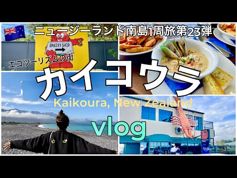 23【ニュージーランド】エコツーリズムの街！カイコウラ街歩きvlog！絶品チャウダー｜クッキータイム ファクトリーも立ち寄り🍪Kaikoura, New Zealand & Cookie Time🇳🇿