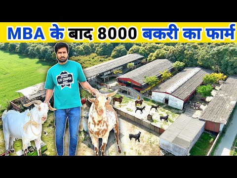 8 हजार बकरी का फॉर्म | उत्तर प्रदेश का सबसे बड़ा Bakri Farm | Biggest Goat Farm