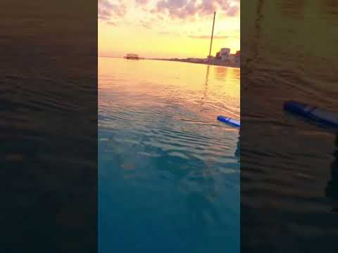 FPV Brighton Beach Paddle Boarders