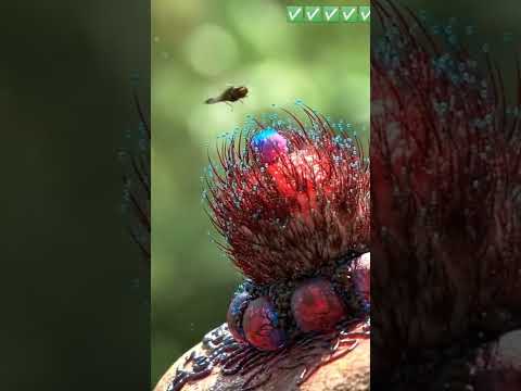 Carnivorous Plants 😨 (Environmental Life) #shorts #carnivorousplants #viral