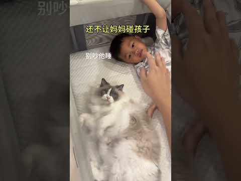 小时候让猫咪和人类幼崽睡一起，长大后猫咪比亲妈对孩子还上心 #猫咪带娃 #记录猫咪日常