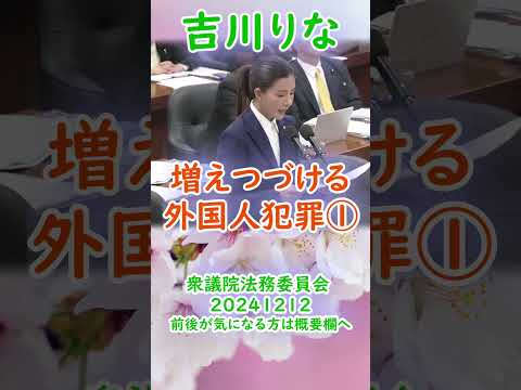 参政党【吉川りな】衆議院法務委員会20241212-②【増えつづける在日外国人犯罪①】