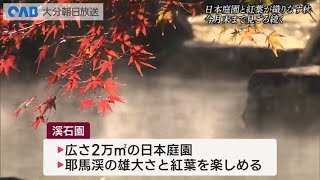 【大分】庭園と紅葉が織りなす秋　中津・溪石園