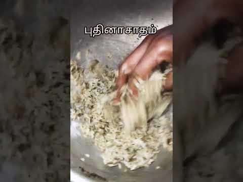 புதினா சாதம் #lunchboxrecipe #lunchboxideasforkids #thanksforwatching #subscribe #like#share