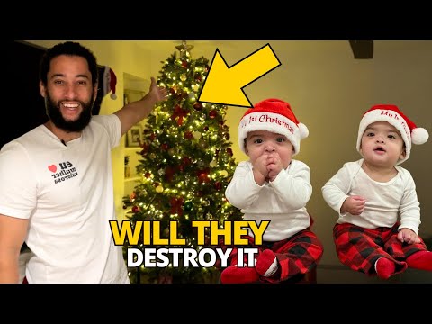 The Twins will Destroy the XMAS TREE - PROBABLY