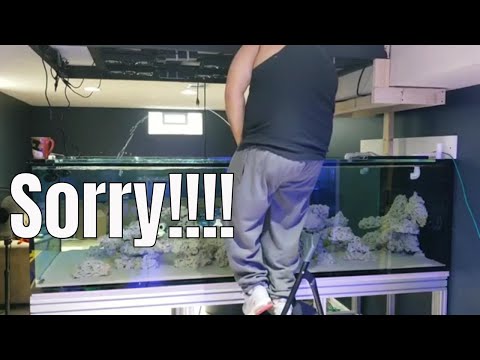 Cycling marine aquarium with Dr. Tim's