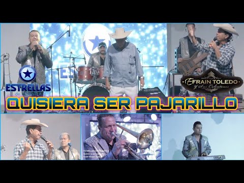 Quisiera Ser Pajarillo / Estrellas De Tuzantla Ft Efraín Toledo / Homenaje Al Güero Gama 2021